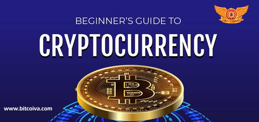 crypto-for-beginner