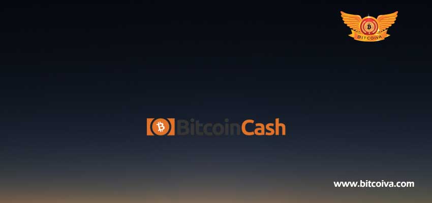 bitcoin-cash