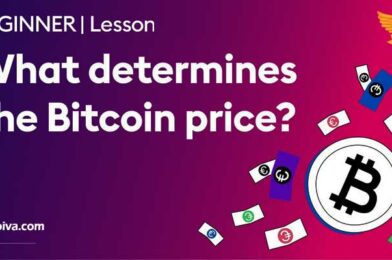 Who Sets the Price for Bitcoin?