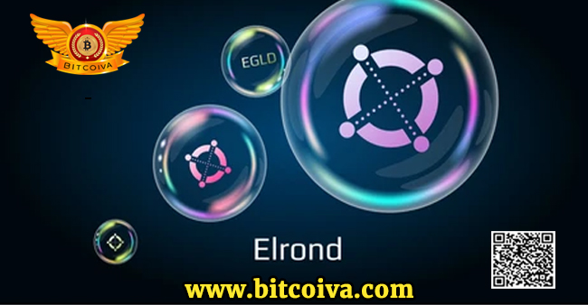 EGLD coin