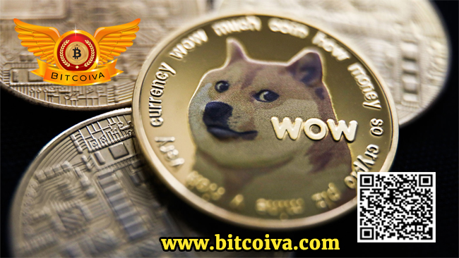 doge coin