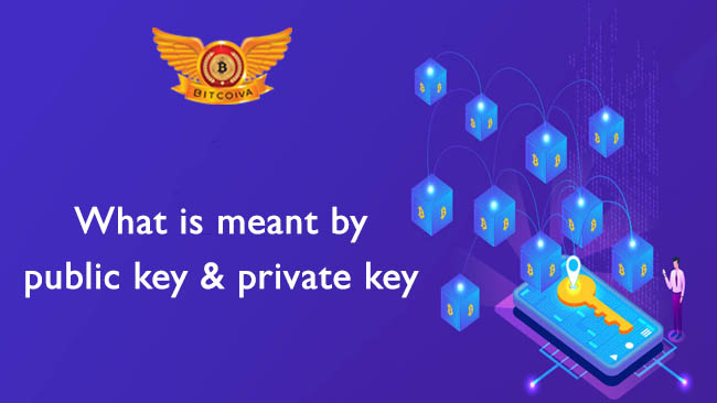 cryptocurrency public key