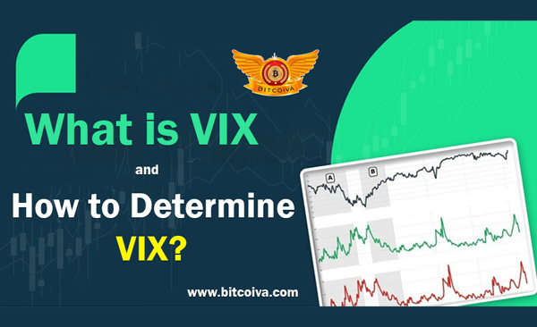 What is VIX