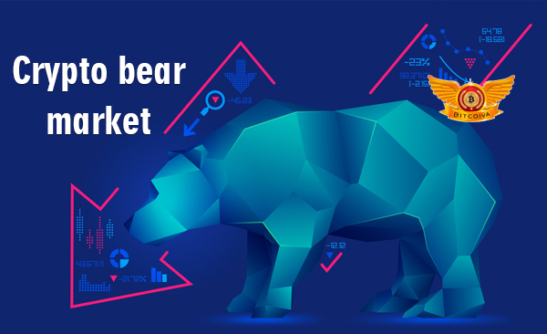 Crypto bear market