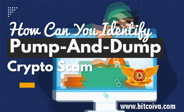 crypto is a pump and dump scam