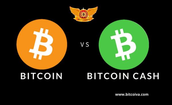 Bitcoin Vs Bitcoin Cash