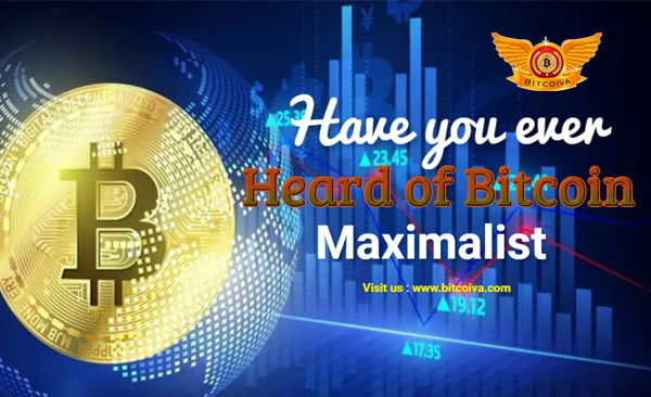Bitcoin maximalist
