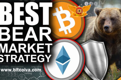 How to Master Crypto Trading During Bear Market