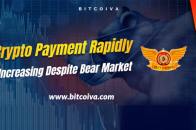 Crypto Payment Rapidly Increasing Despite Bear Market