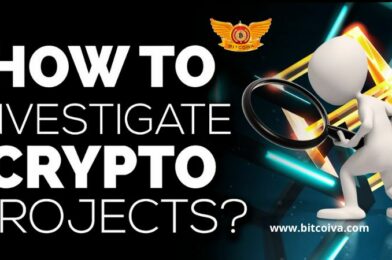 How do I Investigate CryptoCurrency Project