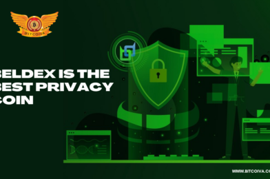 Why Beldex is The Best Privacy Coin