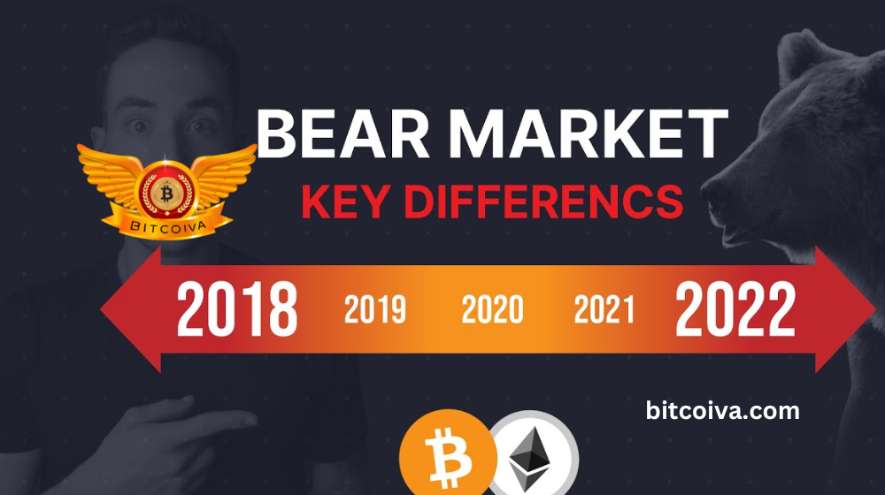 Bear Market