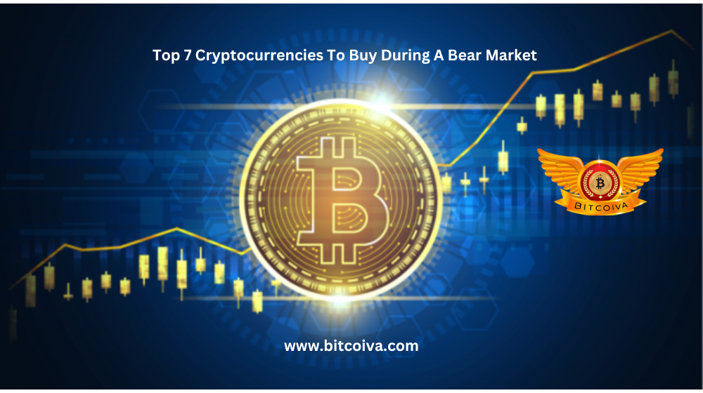 bear market cryptocurrencies