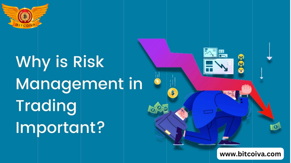 Risk Management