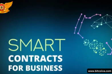 Why Are These New Smart Contracts Most Popular