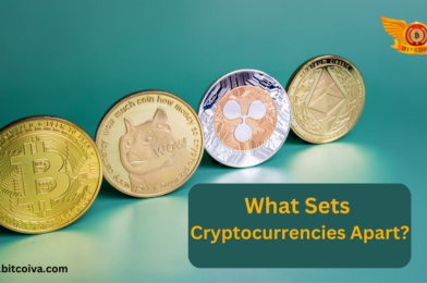 What Are The Cryptocurrency Categories?