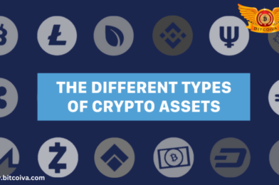 What Are The Different Types Of Cryptocurrency and Tokens