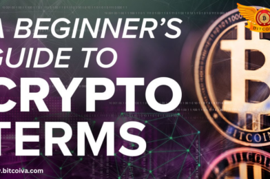 A Beginners Guide- Crypto Terms That You Need To Know Before You Invest