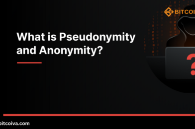 What Do Pseudonymity and Anonymity Mean