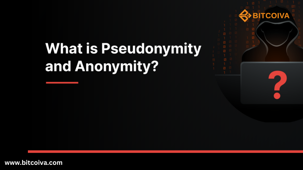 Pseudonymity and Anonymity