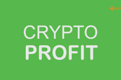 Best Things to Do with Your Crypto Profits