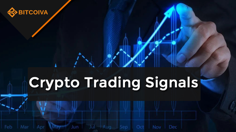 Crypto Trading Signals