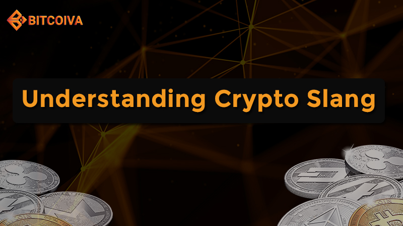 Understanding Crypto Slang