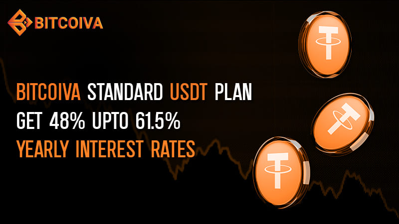 Standard USDT Plan