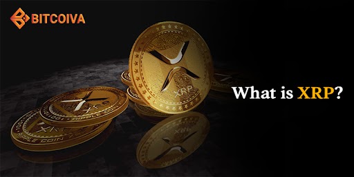 what is XRP?
