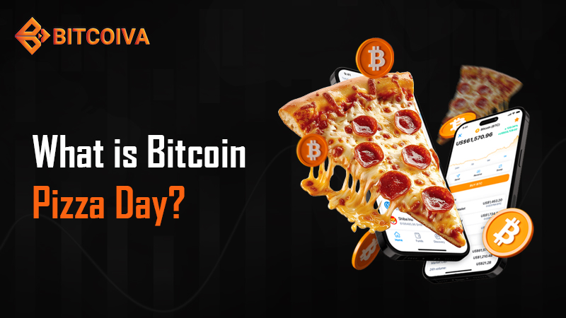 Bitcoin Pizza Day 2024