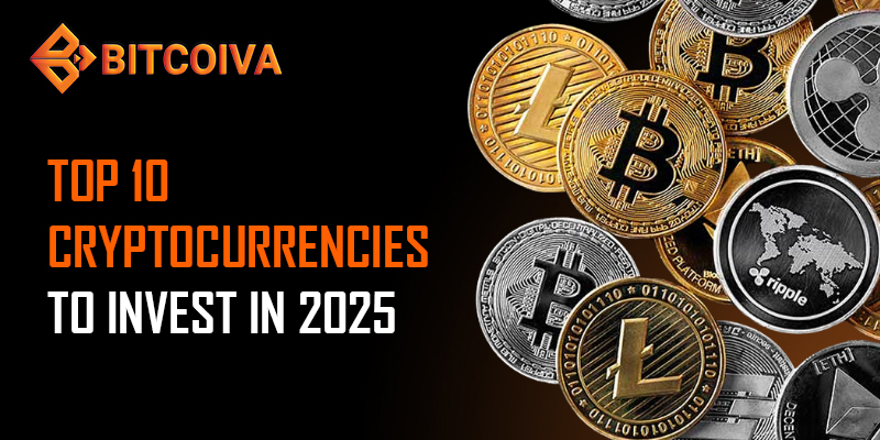 Best Crypto Investment Platform in Tamilnadu